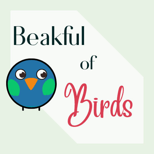 Beakful of Birds logo
